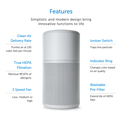 Air Purifier True HEPA With Ionizer And Washable Filter For Medium Rooms