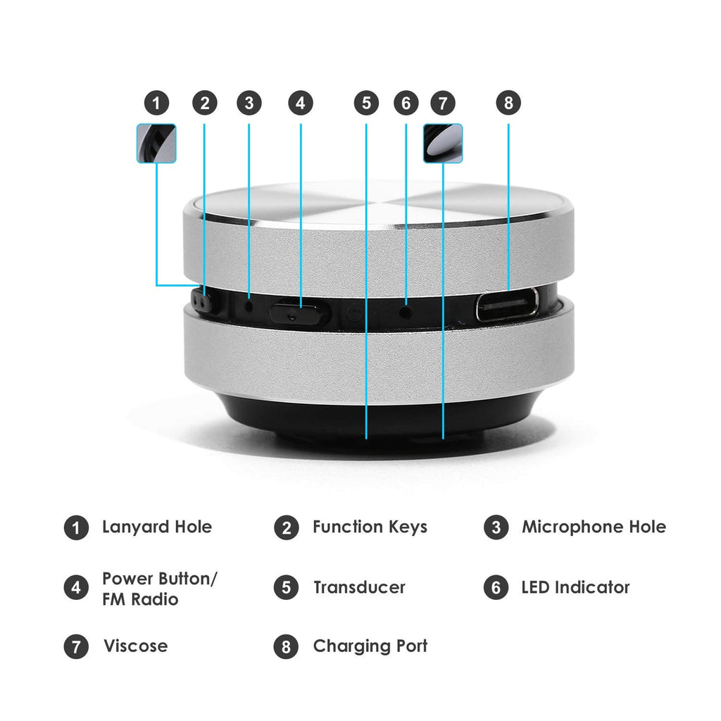 TinyTunes Mini Speaker